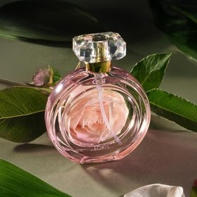 Resim Loris Javou Midnight EDP Kadın Parfümü 100 ML | Kalıcı, Gül ve Vanilya Notalı Tatlı Koku 