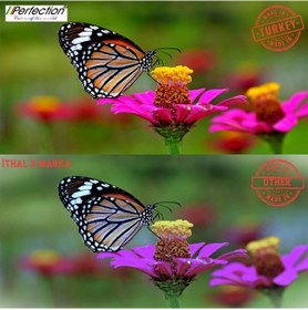 Resim Perfection Canon Pixma Uyumlu G2410/g2410/g3410/g4410 Baskı Kafası Bakım Seti 4x100 Gr. 