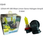 Resim gcstore 12 Volt H9 100 Waat Limon Sarısı Halogen Ampül 2 Adet 