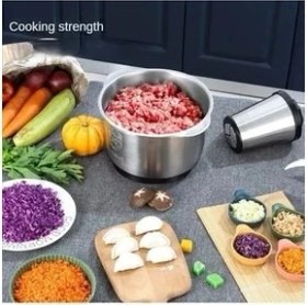 Resim Elektrikli Paslanmaz Çelik Kollu 5 Litre Et Kıyma Makinesi Sebze Meyve Doğrayıcı Rondo Blendır 