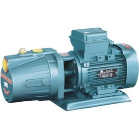 Resim Domak Jet100 1 Hp 220 V Monoblok Elektropomplar 