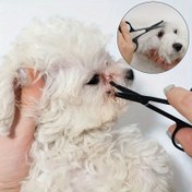 Resim 1 adet Profesyonel Pet Bakım Makası - Güvenlikli Yuvarlak Uçlu, Köpekler ve Kediler için İdeal, Tam Kesim, Pet Bakımı Temel Ürünleri | Keskin Makaslar | Hassas Kesim 