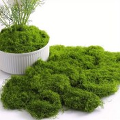 Resim Yapay Yosun Çim Dekorasyonu, 30/50/100g, Polyester Bonsai & Mikro Peyzaj Sahte Yeşillik, Noel ve St. Patrick Günü Süslemesi, Bahar Estetiği için İdeal Oda & Ev Dekoru, Mevsimsel Sergi, Yapay Yeşil Bitki, Dekoratif Yosun, Yüksek Kaliteli Polyester Malzeme, Bonsai Aksesuarı, Etkinlik Planlayıcıları, Ev Dekoratörleri 