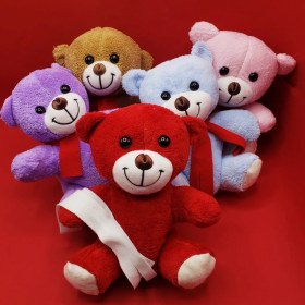 Resim Renkli Peluş Ayıcık 