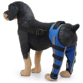 Resim Arka Bacak Yaralanmaları Ve Ağrı Giderici Köpek Hareketlilik Destek Desteği L Yansıtıcı Mavi 