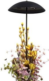 Resim Pulchino Siyah Boyalı Lambader PLC-1210-L-BSY 