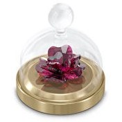 Resim Swarovski SWR5619223 Garden Tales Biblo 