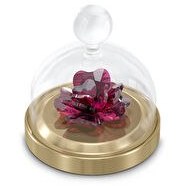 Resim Swarovski SWR5619223 Garden Tales Biblo 