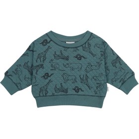 Resim Hayvanlar Alemi Kapitone Sweatshirt - BEBEK / Yeşil / 0-3 Ay 