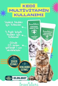 Resim BRAVE PAWS Kedi Multivitamin Kedi Malt Macunu Kedi Vitamini 11 Vitaminli 