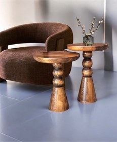 Resim AYLESA Doğal Ahşap 2’li Set Mantar Yan Sehpa Modern Ceviz Renk Fiskos Zigon Çiçeklik 