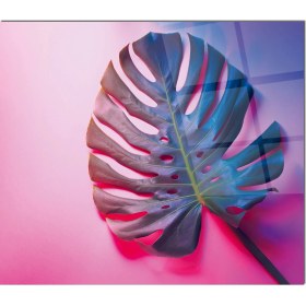 Resim Olinpa Cam Ocak Arkası Koruyucu | Yaprak 