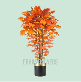 Resim 180 Cm Kızıl Benjamin Ağacı Metal Şık Darbuka Saksıda Yeşil 