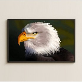 Resim Gerçekçi Kartal Portresi Dijital Sanat Pleksi Tablo 