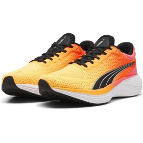Resim Puma Scend Pro Erkek Yol Koşusu Ayakkabısı 