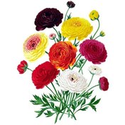 Resim Novahub T308 Muhteşem Buket Duvar Sticker Banyo Tuvalet Dekor Oturma Oda Dolabı Buzdolabı Ev Dekorasyon Çıkartmaları C-23x30cm-pet 