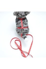 Resim Ne verelim size Kedi Patili Göğüs Tasması Ve Gezdirme Seti Ps9647 