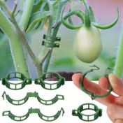 Resim Dayanıklı Plastik Bahçe Tırmanma Klipsleri - 10/50/100/150 adet - Domates, Üzüm Asma ve Sebzeleri Desteklemek İçin İdeal - Sağlıklı Dik Büyümeyi Teşvik Eder, Tırmanma Bitkileri İçin Bahçe Tırmanma 