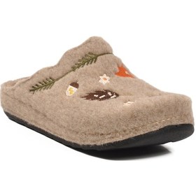 Resim Aspor Camel Kadın Ev Terliği Çok Renkli 