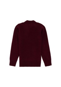 Resim U.s. Polo Assn. Erkek Çocuk Bordo Hırka Triko 50317150-vr014 Bordo 