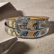 Resim Yılan Desenli Kemer Sokak Stili Çivili Sarı Yılan Baskılı Bel Bandı Punk Moda Kot Pantolon Kemeri Dekoratif Ceket Elbise Tokalı Şık Bel Bandı 