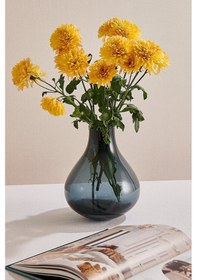 Resim Pasabahce Bulb Vazo 22 Cm Lacivert 