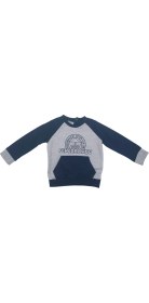 Resim Fenerbahçe Fb Logo Sarı-Lacivert Bebek Sweat 