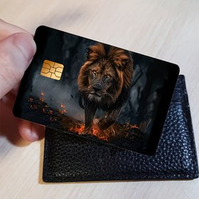 Resim Taç Aslan Kart Derisi Etiketleri Bank Kartları, Kredi Kartları, Debit Kartları, Seyahat Kartları ve Oda Anahtar Kartları için. 