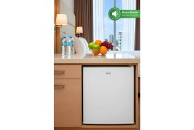Resim Kiwi KRF-2545 Mini Buzdolabı 