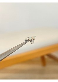 Resim 316 L Cerrahi Çelik Opal Ve Zirkon Taşlı Helix Kıkırdak Dudak Piercingi Conch Gümüş 