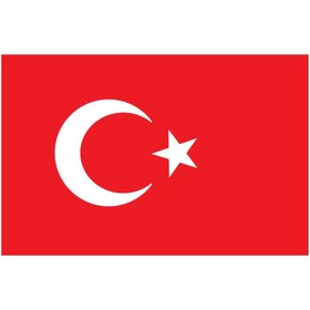 Resim Saray Türk Bayrağı 60X90 