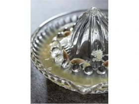 Resim Cam Limon Sıkacağı 