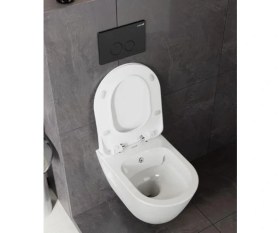 Resim Creavit Kanalsız Asma Klozet ve Thermoplast Yavaş Kapanır Kapak TP329 