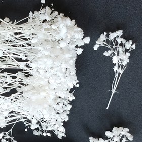 Resim 100 adet Premium Beyaz 'S Nefesi Kurutulmuş Çiçekler, Düğünler, Saç Aksesuarları, Selamlama Kartları, Çelenkler, Reçine Sanat, Parti Vazoları, Yapay Çiçekler Dekorasyon Hediye Kutusu Yerel, Yapay Çiçekler Dekorasyon Kutusu Yerel 