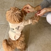 Resim Rahat Bej Köpek Hoodie "BAGGUS" Baskılı - Küçük ve Orta Irklar için Yumuşak Polyester Kazak, Teddy, Bichon, Schnauzer ve Daha Fazlası için Mükemmel - Makinede Yıkanabilir, Her Mevsim Rahatlık, Köpek Kıyafetleri 