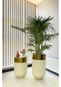 Resim Dekoratif Eskitme Darbuka Beyaz Saksı 70cm + Sehpa 60cm İkili Set 