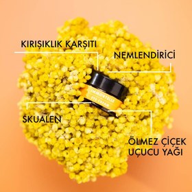 Resim Ölmez Çiçek Kırışıklık Karşıtı Göz Kremi (20 ml) 
