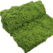 Resim 0.5m x 1.5m Gerçekçi Yapay Yosun Halı - DIY Bonsai Peyzaj, Dış Mekan Bahçe Dekoru ve Peri Bahçeleri için Premium Sentetik Çim Halısı - Düşük Bakım Gerektiren İç/Dış Mekan Yeşillik Halısı, Bitkiler için Yosun, Dokulu Yüzey, Yumuşak Doku 
