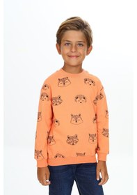 Resim Toontoy Kids Toontoy Erkek Çocuk Relax Fit Kapüşonlu Cepli Hafif Düşük Omuz Nakışlı Sweatshirt Somon 