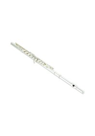 Resim Gümüş Yan Flüt Tam Set Çantalı 