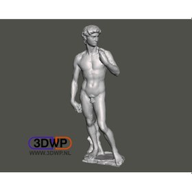 Resim Opencart David Michelangelo Heykeli Heykel 3d Tarama Sadece Plastik Aparattır 
