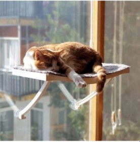 Resim Cama Yapışan Kedi Yatağı 