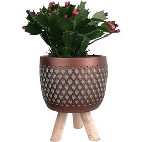 Resim Ayaklı Bakır Saksıda Pembe Yılbaşı Çiçeği 