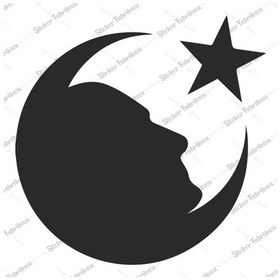 Resim Ay Yıldız Ve Atatürk Sticker 01335 