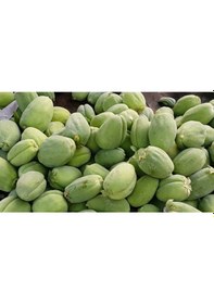 Resim Ağaç Bamyası Fidesi 90-140 Cm 