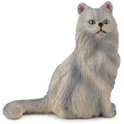 Resim Collecta Oturan İran Kedisi 