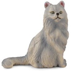 Resim Collecta Oturan İran Kedisi 
