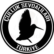 Resim Çulluk Sevdalıları Duvar Dekor Sticker 40 x 36 cm 