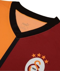 Resim Galatasaray Lisanslı 24/25 İç Saha Taraftar Forma Aslan Kutulu 001 