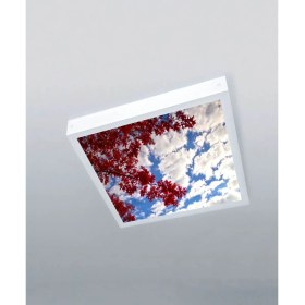 Resim 1X1-TEKLI-60X60-TAVANA Yapışık LED PANEL-54W-SIVA Üstü-Kolay Montaj-Kırmızı Ağaçlı- LED 